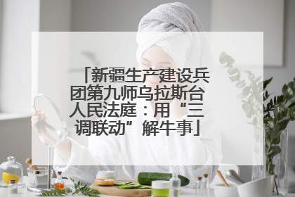 新疆生产建设兵团第九师乌拉斯台人民法庭：用“三调联动”解牛事