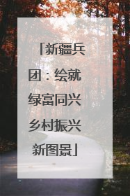 新疆兵团：绘就绿富同兴乡村振兴新图景