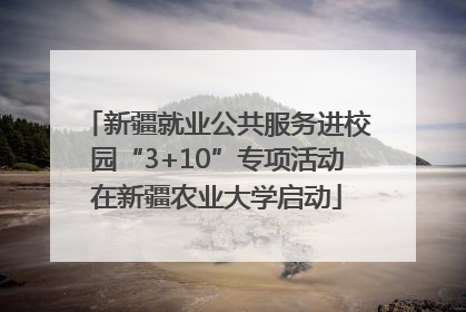 新疆就业公共服务进校园“3+10”专项活动在新疆农业大学启动
