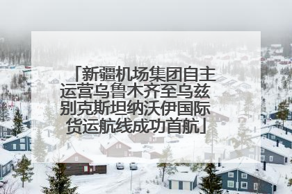 新疆机场集团自主运营乌鲁木齐至乌兹别克斯坦纳沃伊国际货运航线成功首航