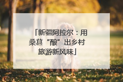 新疆阿拉尔：用桑葚“酿”出乡村旅游新风味