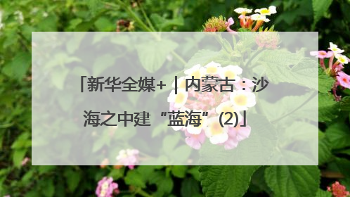 新华全媒+｜内蒙古：沙海之中建“蓝海”(2)
