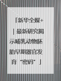 新华全媒+｜最新研究揭示哺乳动物胚胎早期器官发育“密码”