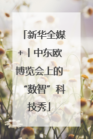 新华全媒+丨中东欧博览会上的“数智”科技秀