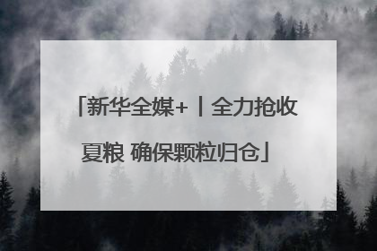 新华全媒+丨全力抢收夏粮 确保颗粒归仓