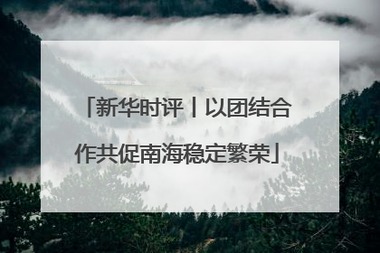 新华时评丨以团结合作共促南海稳定繁荣