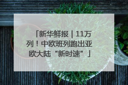 新华鲜报｜11万列！中欧班列跑出亚欧大陆“新时速”