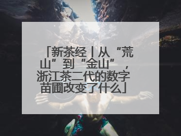 新茶经丨从“荒山”到“金山”，浙江茶二代的数字苗圃改变了什么