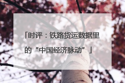 时评：铁路货运数据里的“中国经济脉动”