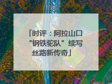 时评：阿拉山口“钢铁驼队”续写丝路新传奇