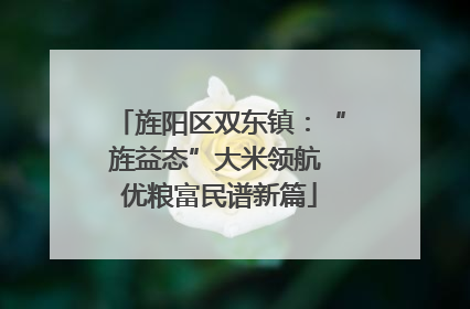 旌阳区双东镇：“旌益态”大米领航 优粮富民谱新篇