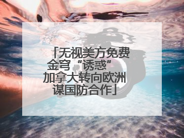 无视美方免费金穹“诱惑” 加拿大转向欧洲谋国防合作