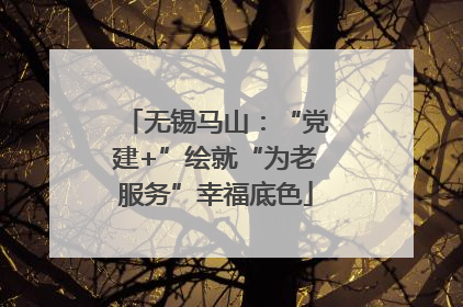无锡马山：“党建+”绘就“为老服务”幸福底色