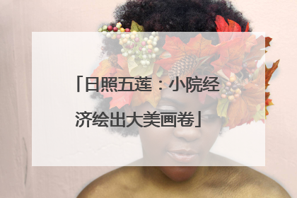 日照五莲：小院经济绘出大美画卷