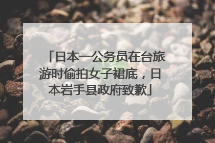 日本一公务员在台旅游时偷拍女子裙底，日本岩手县政府致歉