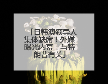日韩澳领导人集体缺席！外媒曝光内幕：与特朗普有关