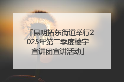 昆明拓东街道举行2025年第二季度楼宇宣讲团宣讲活动