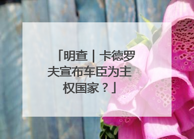 明查｜卡德罗夫宣布车臣为主权国家？