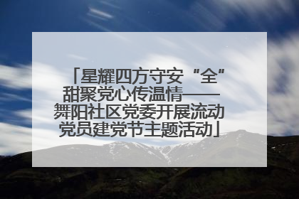 星耀四方守安“全” 甜聚党心传温情——舞阳社区党委开展流动党员建党节主题活动