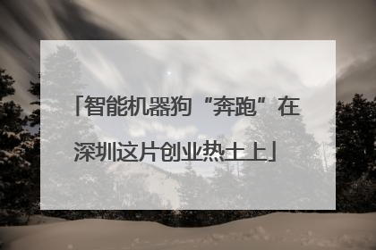 智能机器狗“奔跑”在深圳这片创业热土上