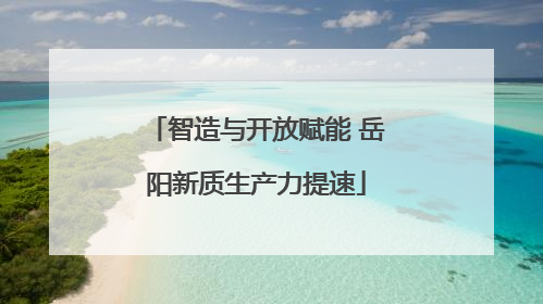 智造与开放赋能 岳阳新质生产力提速