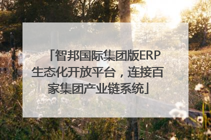 智邦国际集团版ERP生态化开放平台，连接百家集团产业链系统