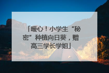 暖心！小学生“秘密”种植向日葵，赠高三学长学姐