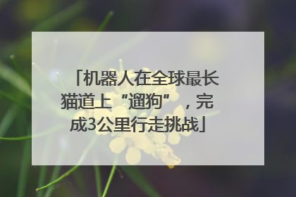 机器人在全球最长猫道上“遛狗”，完成3公里行走挑战