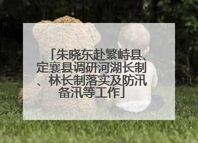 朱晓东赴繁峙县、定襄县调研河湖长制、林长制落实及防汛备汛等工作