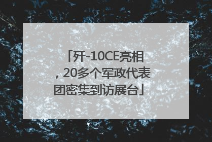 歼-10CE亮相，20多个军政代表团密集到访展台