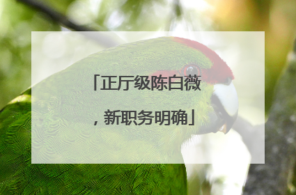 正厅级陈白薇，新职务明确