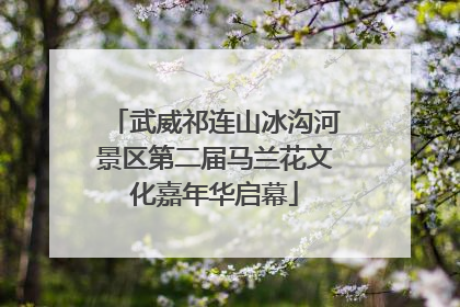 武威祁连山冰沟河景区第二届马兰花文化嘉年华启幕