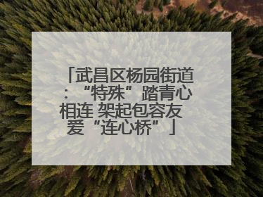 武昌区杨园街道：“特殊”踏青心相连 架起包容友爱“连心桥”