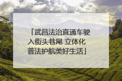 武昌法治直通车驶入街头巷尾 立体化普法护航美好生活