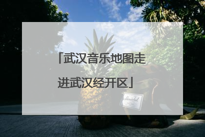 武汉音乐地图走进武汉经开区