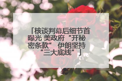 核谈判幕后细节首曝光 美政府“开秘密条款” 伊朗坚持“三大底线”