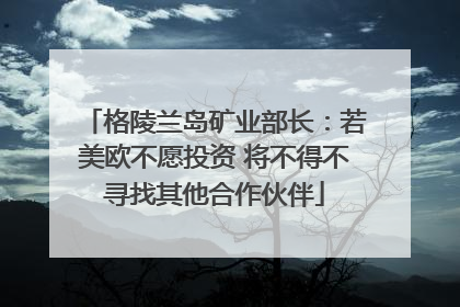 格陵兰岛矿业部长：若美欧不愿投资 将不得不寻找其他合作伙伴