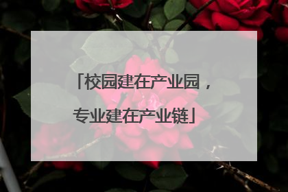 校园建在产业园，专业建在产业链