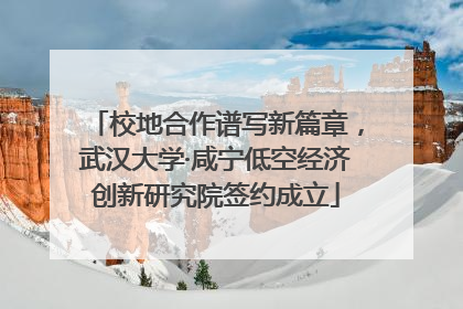 校地合作谱写新篇章，武汉大学·咸宁低空经济创新研究院签约成立