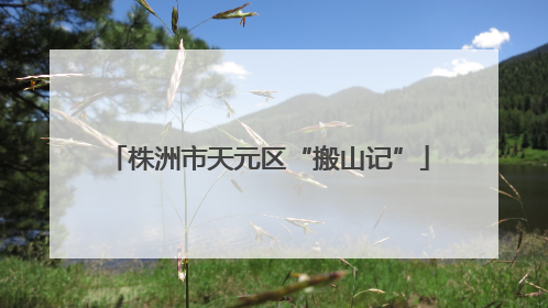 株洲市天元区“搬山记”