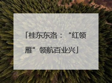 桂东东洛：“红领雁”领航百业兴