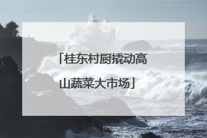 桂东村厨撬动高山蔬菜大市场