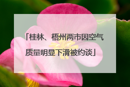 桂林、梧州两市因空气质量明显下滑被约谈