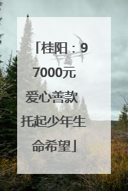 桂阳：97000元爱心善款 托起少年生命希望