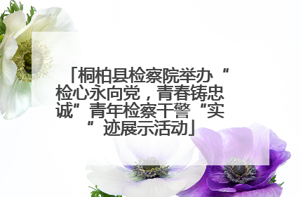 桐柏县检察院举办“检心永向党，青春铸忠诚”青年检察干警“实”迹展示活动