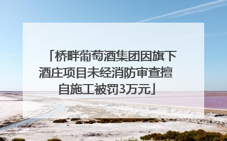桥畔葡萄酒集团因旗下酒庄项目未经消防审查擅自施工被罚3万元