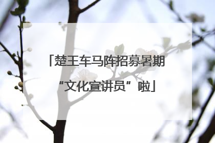 楚王车马阵招募暑期“文化宣讲员”啦