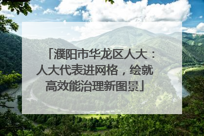 濮阳市华龙区人大：人大代表进网格，绘就高效能治理新图景