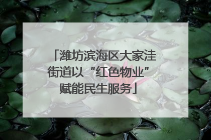 潍坊滨海区大家洼街道以“红色物业”赋能民生服务