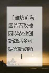 潍坊滨海区芳青玫瑰园以农业创新激活乡村振兴新动能